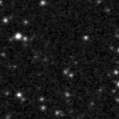 2025ipy_image