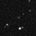 2025irb_image