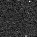 2025ird_image
