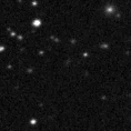 2025irj_image