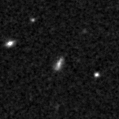 2025iua_image