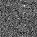 2025iub_image