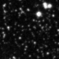 2025ixc_image