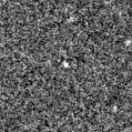 2025izu_image