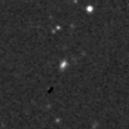 2025izw_image