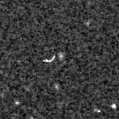 2025jep_image