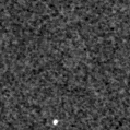 2025jjf_image