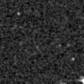 2025jky_image
