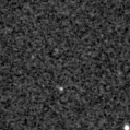 2025jld_image