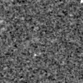 2025jlh_image