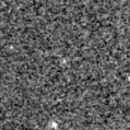 2025jnf_image