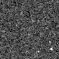 2025jns_image