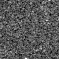 2025jnw_image