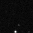 2025juv_image