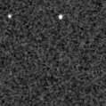 2025jwd_image