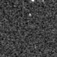 2025jwm_image