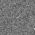 2025kam_image
