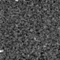 2025kcv_image