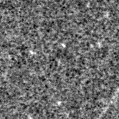 2025kcw_image