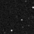 2025kew_image
