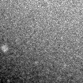 2025kiq_image