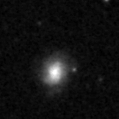 2025mcg_image