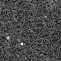 2025mcx_image