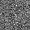 2025med_image