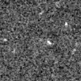 2025met_image