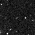 2025mex_image
