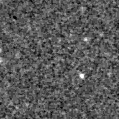 2025mip_image