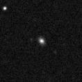 2025mjb_image