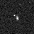 2025mjt_image