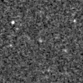 2025mjy_image