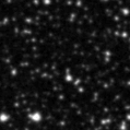 2025mkf_image