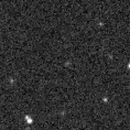 2025mlt_image