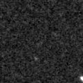 2025mnp_image