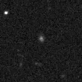 2025mqf_image
