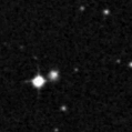 2025msc_image