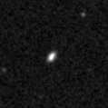 2025msp_image