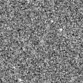 2025mvx_image