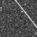 2025nbl_image