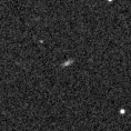 2025ndb_image