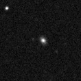 2025ndv_image