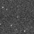 2025nei_image