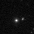 2025nel_image