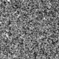 2025nex_image