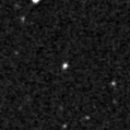 2025nfv_image