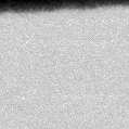 2025nge_image