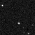 2025ngu_image